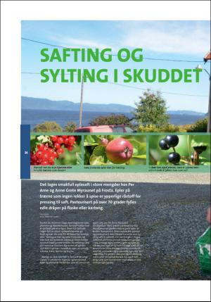 stjordalsnytt-20160921_000_00_00_086.pdf