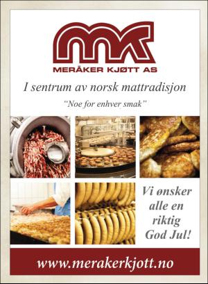 stjordalsnytt-20161214_000_00_00_059.pdf