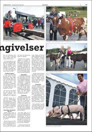 stjordalsnytt-20161228_000_00_00_015.pdf