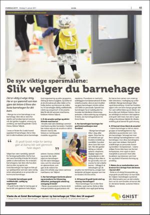 stjordalsnytt-20170111_000_00_00_043.pdf