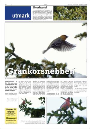 stjordalsnytt-20170215_000_00_00_016.pdf