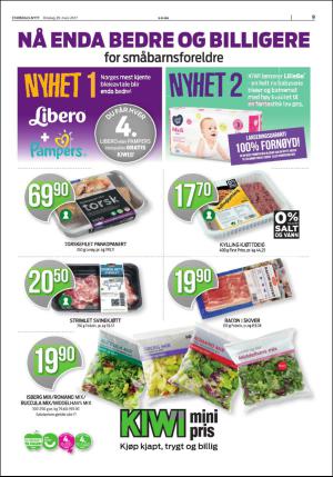 stjordalsnytt-20170329_000_00_00_009.pdf