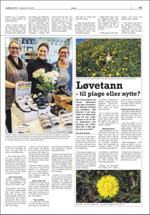 stjordalsnytt-20170510_000_00_00_045.pdf