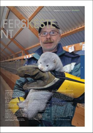 stjordalsnytt-20170510_000_00_00_067.pdf