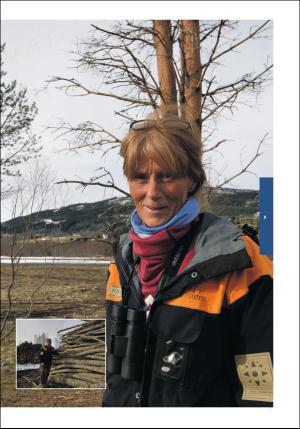 stjordalsnytt-20170510_000_00_00_073.pdf