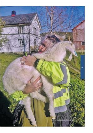 stjordalsnytt-20170510_000_00_00_077.pdf