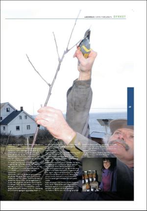 stjordalsnytt-20170510_000_00_00_083.pdf