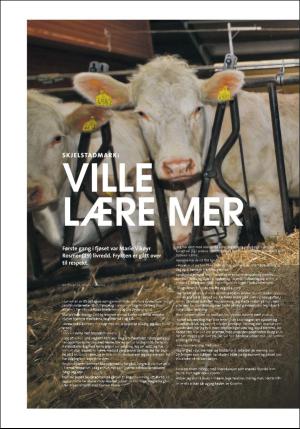 stjordalsnytt-20170510_000_00_00_098.pdf