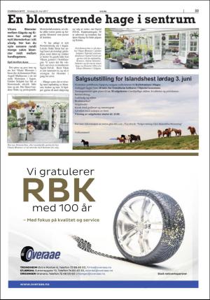 stjordalsnytt-20170524_000_00_00_033.pdf