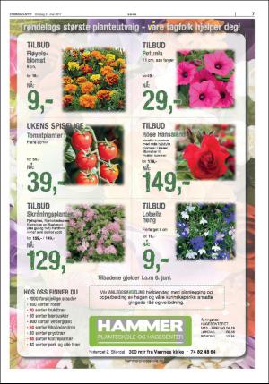 stjordalsnytt-20170531_000_00_00_007.pdf