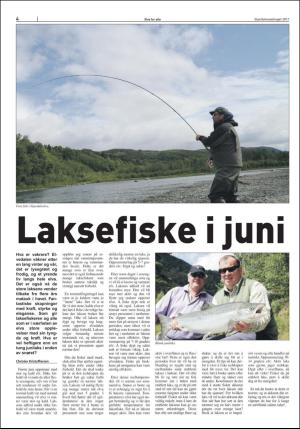 stjordalsnytt-20170531_000_00_00_060.pdf