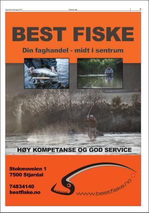 stjordalsnytt-20170531_000_00_00_063.pdf