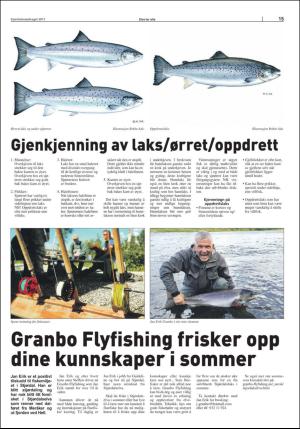 stjordalsnytt-20170531_000_00_00_071.pdf