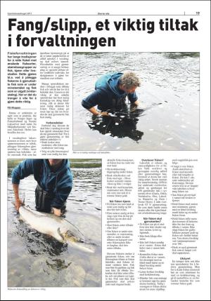 stjordalsnytt-20170531_000_00_00_075.pdf