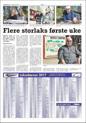stjordalsnytt-20170607_000_00_00_047.pdf