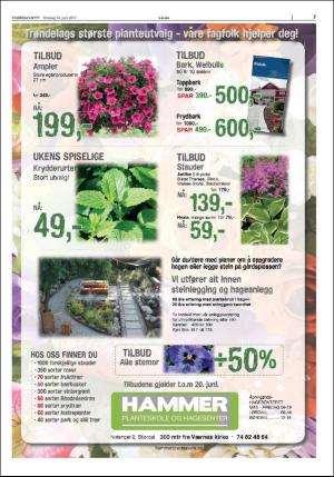 stjordalsnytt-20170614_000_00_00_007.pdf