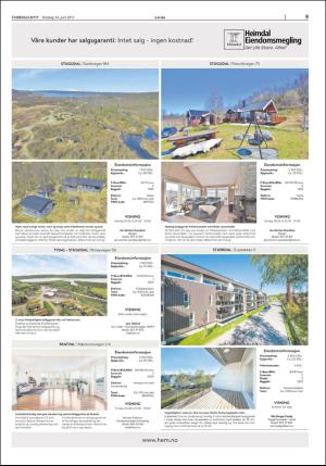 stjordalsnytt-20170614_000_00_00_009.pdf