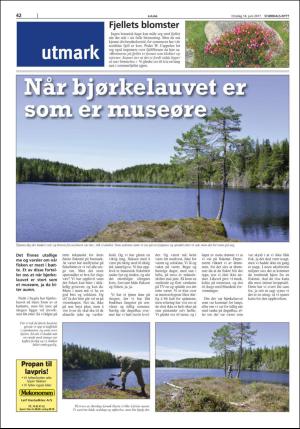 stjordalsnytt-20170614_000_00_00_042.pdf