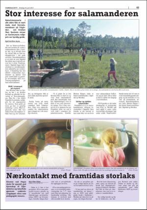 stjordalsnytt-20170614_000_00_00_043.pdf