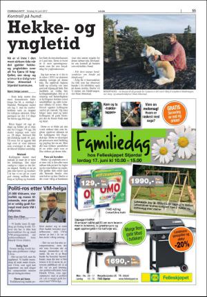 stjordalsnytt-20170614_000_00_00_055.pdf