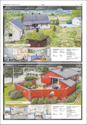 stjordalsnytt-20170621_000_00_00_015.pdf