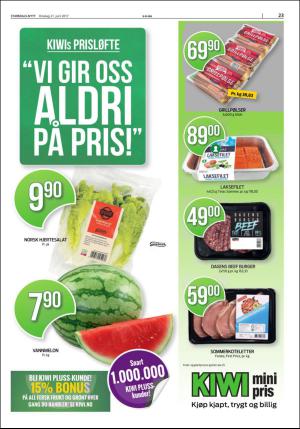 stjordalsnytt-20170621_000_00_00_023.pdf