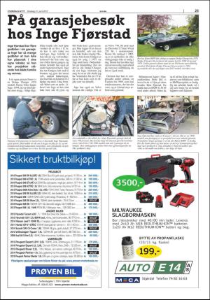 stjordalsnytt-20170621_000_00_00_025.pdf