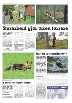stjordalsnytt-20170621_000_00_00_043.pdf
