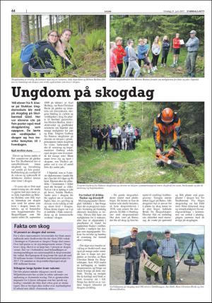 stjordalsnytt-20170621_000_00_00_044.pdf