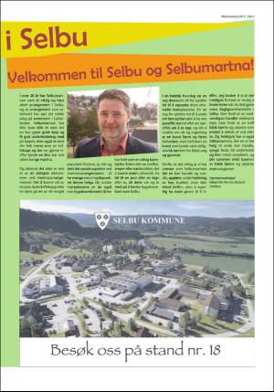 stjordalsnytt-20170621_000_00_00_059.pdf