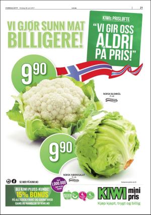 stjordalsnytt-20170628_000_00_00_021.pdf