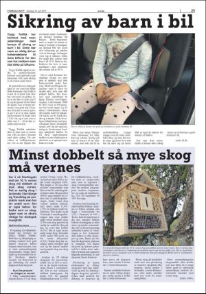 stjordalsnytt-20170712_000_00_00_025.pdf