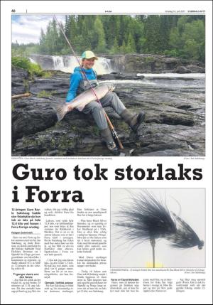 stjordalsnytt-20170712_000_00_00_040.pdf