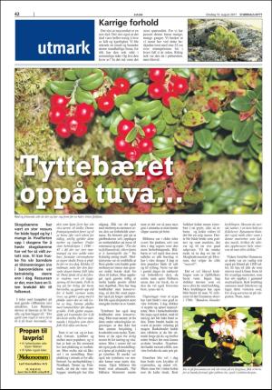 stjordalsnytt-20170816_000_00_00_042.pdf