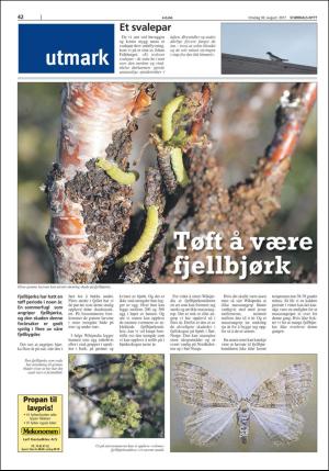 stjordalsnytt-20170830_000_00_00_042.pdf