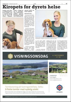 stjordalsnytt-20170830_000_00_00_045.pdf