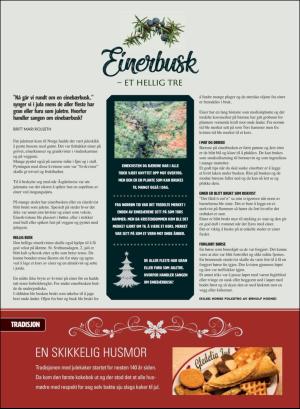 stjordalsnytt-20171222_000_00_00_074.pdf