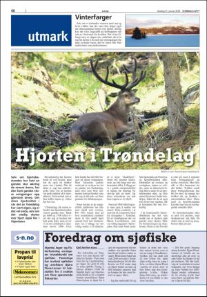 stjordalsnytt-20180131_000_00_00_040.pdf