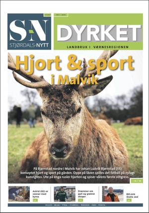 stjordalsnytt-20180516_000_00_00_057.pdf