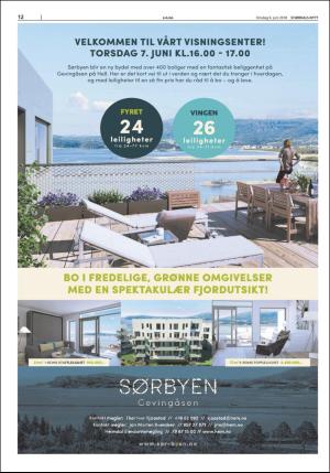 stjordalsnytt-20180606_000_00_00_012.pdf