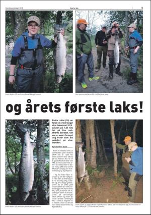 stjordalsnytt-20180606_000_00_00_057.pdf