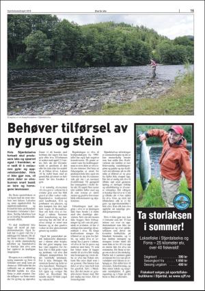 stjordalsnytt-20180606_000_00_00_067.pdf