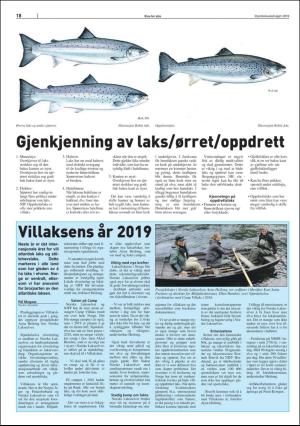 stjordalsnytt-20180606_000_00_00_070.pdf