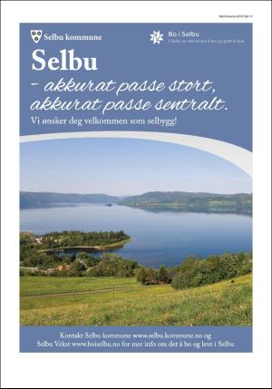 stjordalsnytt-20180627_000_00_00_069.pdf