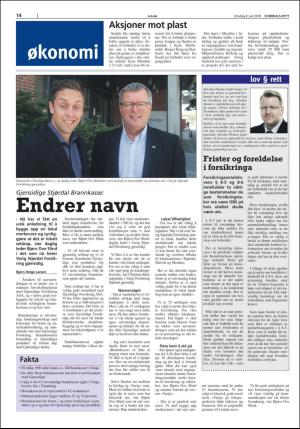stjordalsnytt-20180704_000_00_00_014.pdf