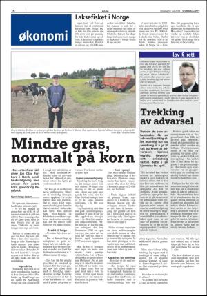 stjordalsnytt-20180718_000_00_00_014.pdf