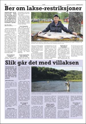 stjordalsnytt-20180718_000_00_00_036.pdf
