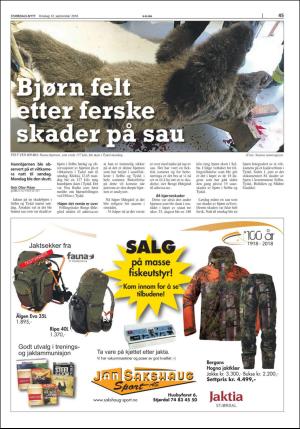 stjordalsnytt-20180912_000_00_00_045.pdf