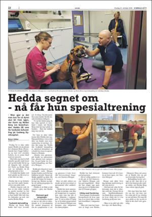 stjordalsnytt-20181031_000_00_00_022.pdf