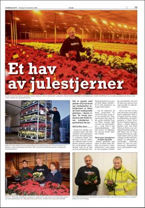 stjordalsnytt-20181219_000_00_00_013.pdf